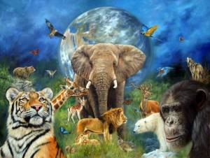 Раскраска мир животных #25 #398670