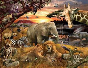 Раскраска мир животных #26 #398671