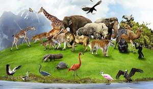 Раскраска мир животных #29 #398674