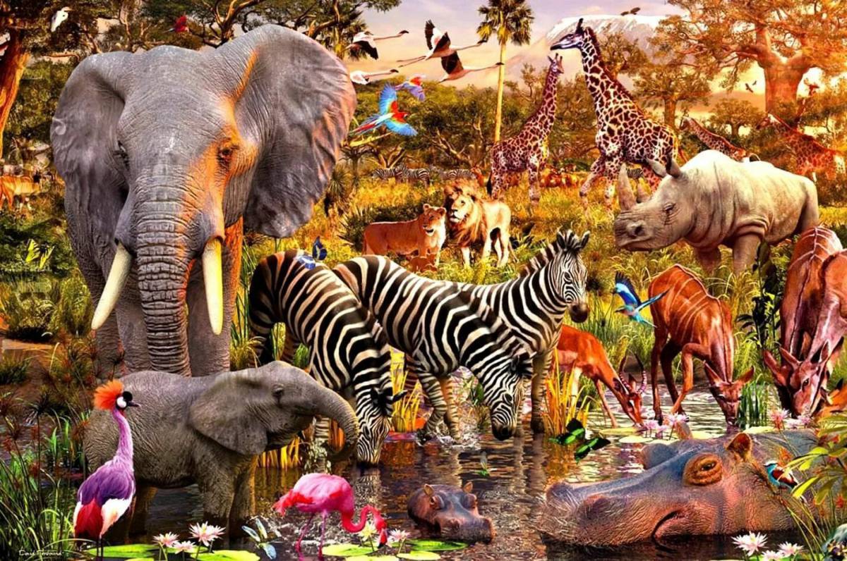 Картина животный мир. Животные Африки. Животные АФРИКИАФРИКИ. Звери Африки. Мир животных Африка.