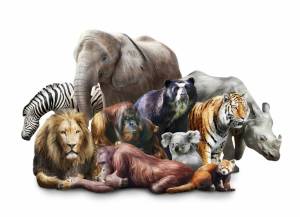 Раскраска млекопитающие #25 #400136