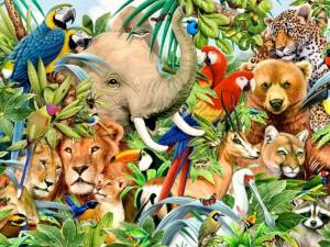 Раскраска много животных #3 #400256