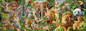 Раскраска много животных #13 #400266