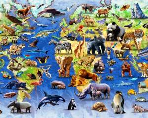 Раскраска много животных #27 #400280