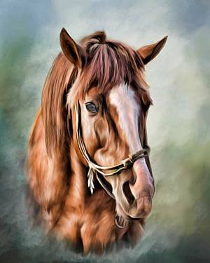 Раскраска морда лошади #18 #403627