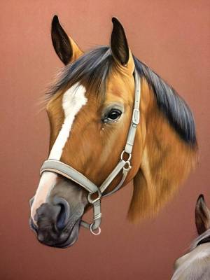 Раскраска морда лошади #20 #403629