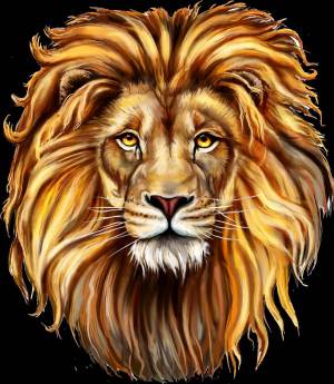 Раскраска морда льва #1 #403649