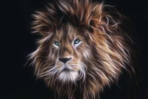 Раскраска морда льва #13 #403661