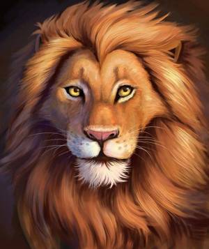 Раскраска морда льва #18 #403666