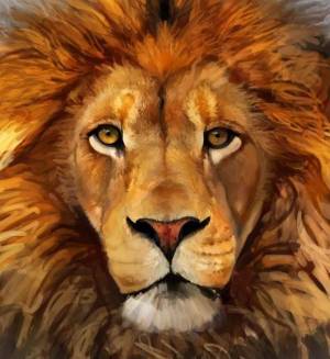 Раскраска морда льва #24 #403672