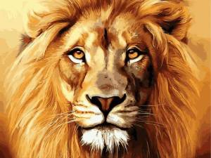Раскраска морда льва #36 #403684
