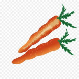 Раскраска морковь для детей 3 4 лет #29 #403939