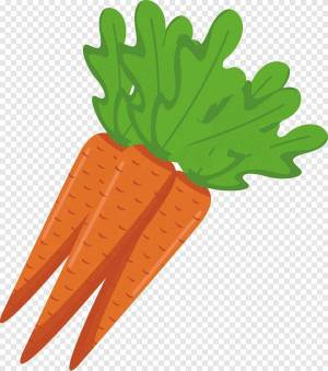 Раскраска морковь рисунок для детей #12 #403957