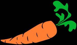 Раскраска морковь рисунок для детей #13 #403958