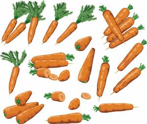 Раскраска морковь рисунок для детей #16 #403961