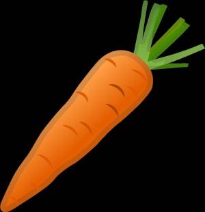 Раскраска морковь рисунок для детей #19 #403964
