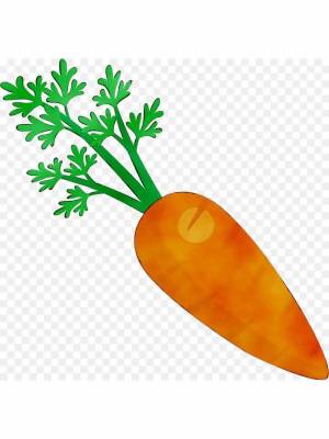 Раскраска морковь рисунок для детей #21 #403966