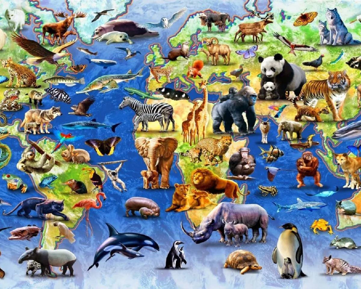Много животных #27
