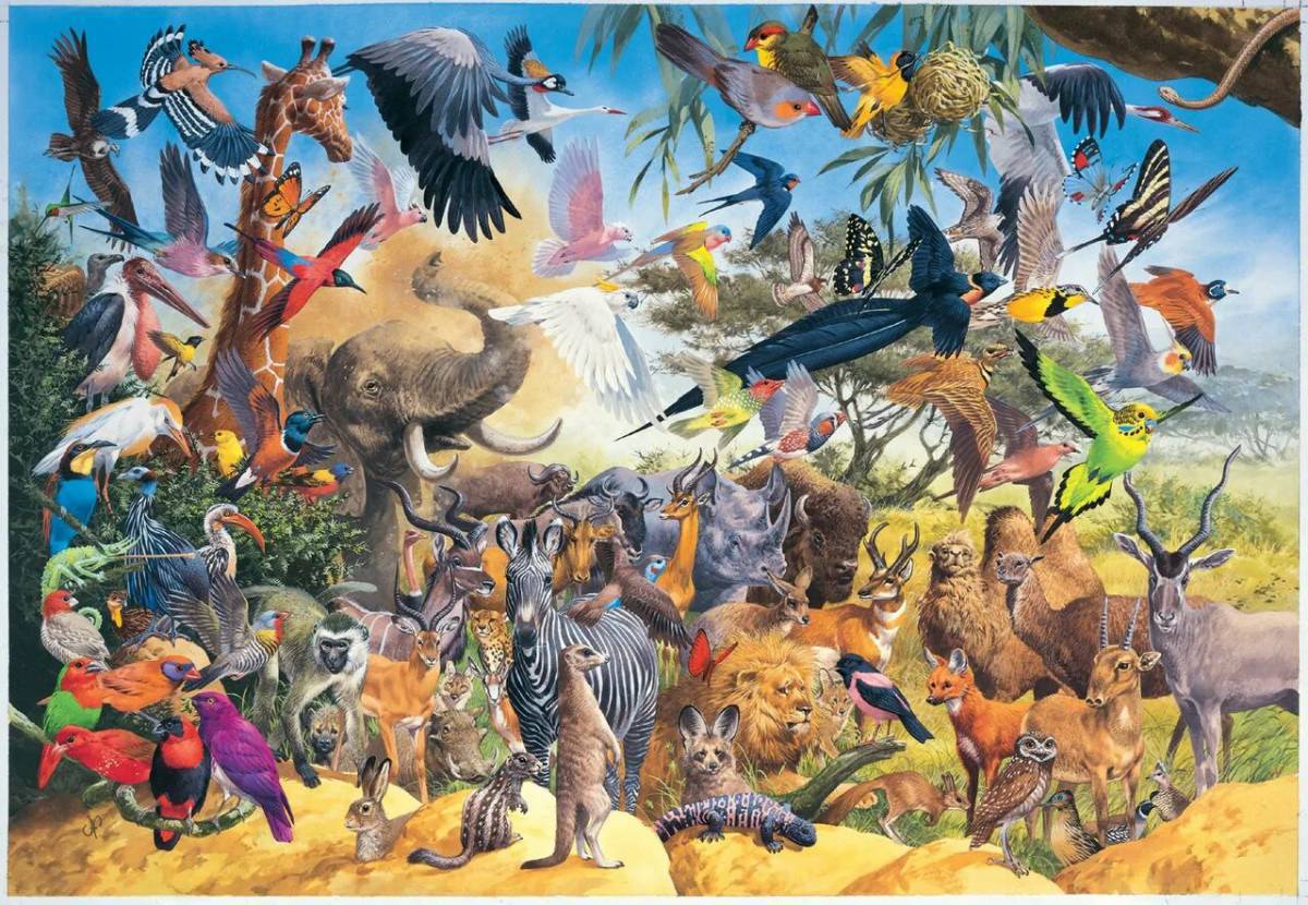 Много животных #31