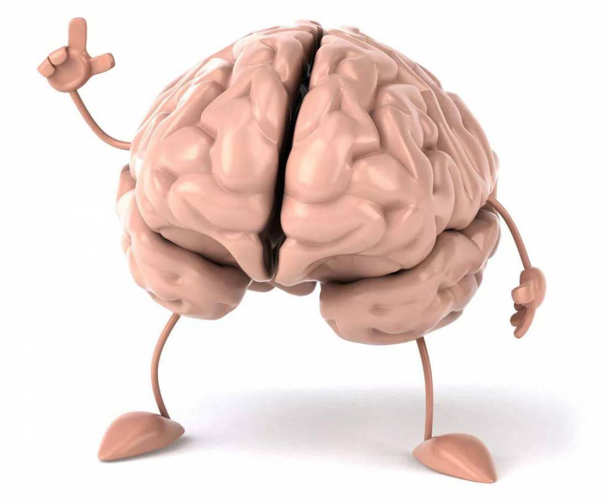 Мозг человека #1