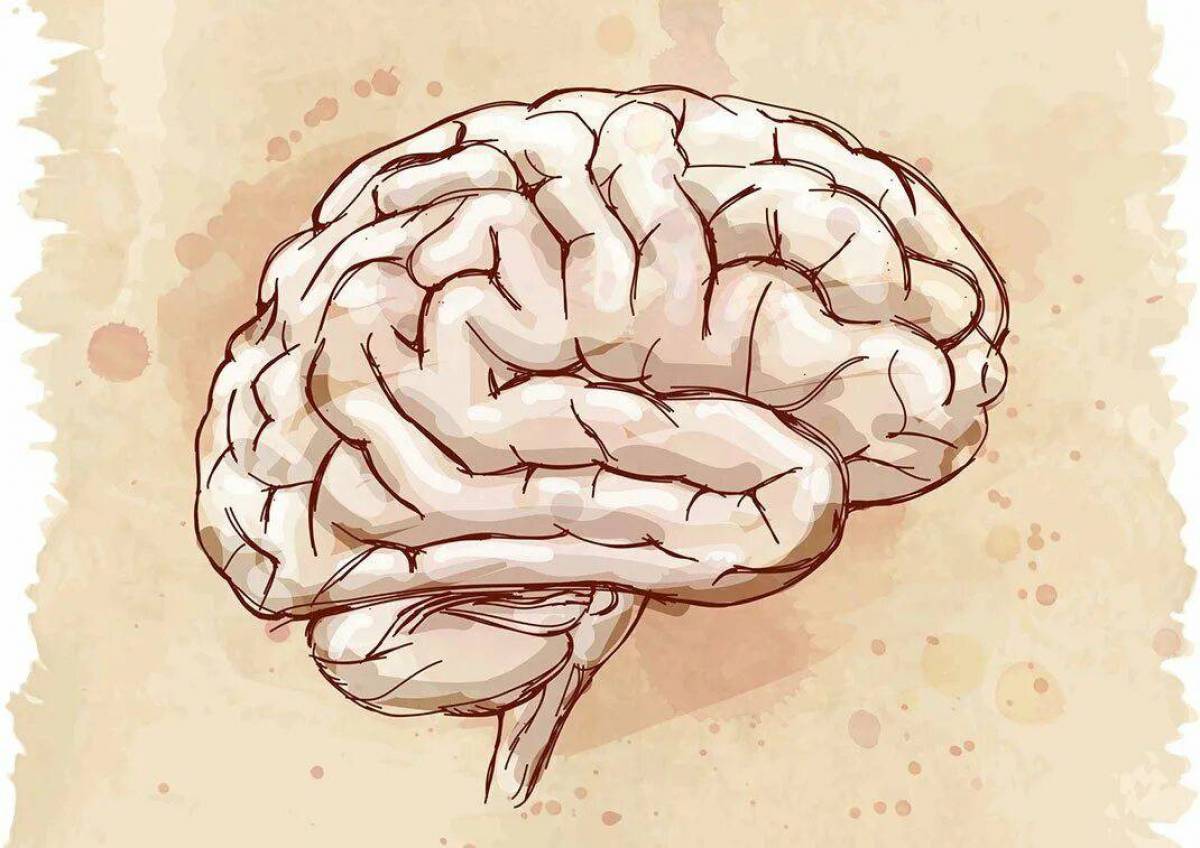 Мозг рисунок. Мозг Эстетика. Brain imaging