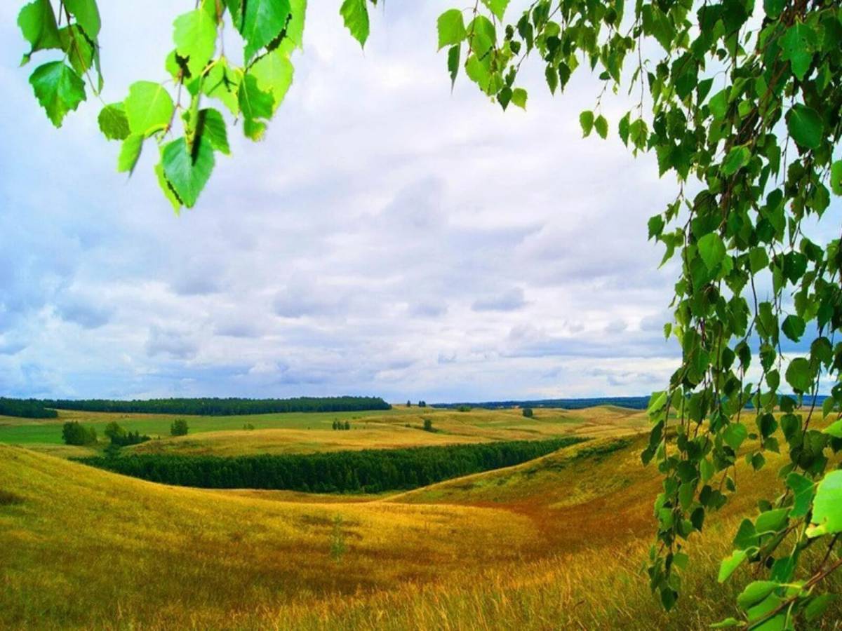 Родная сторона картинки