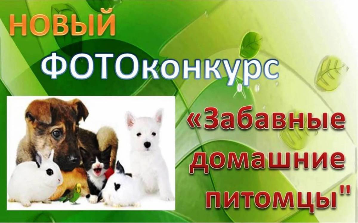 Проект мой любимый питомец 4 класс