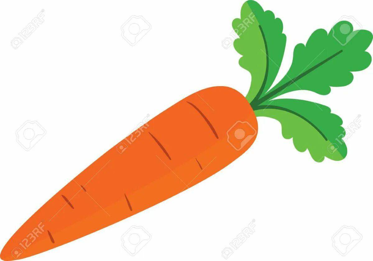 Морковь для детей 3 4 лет #20