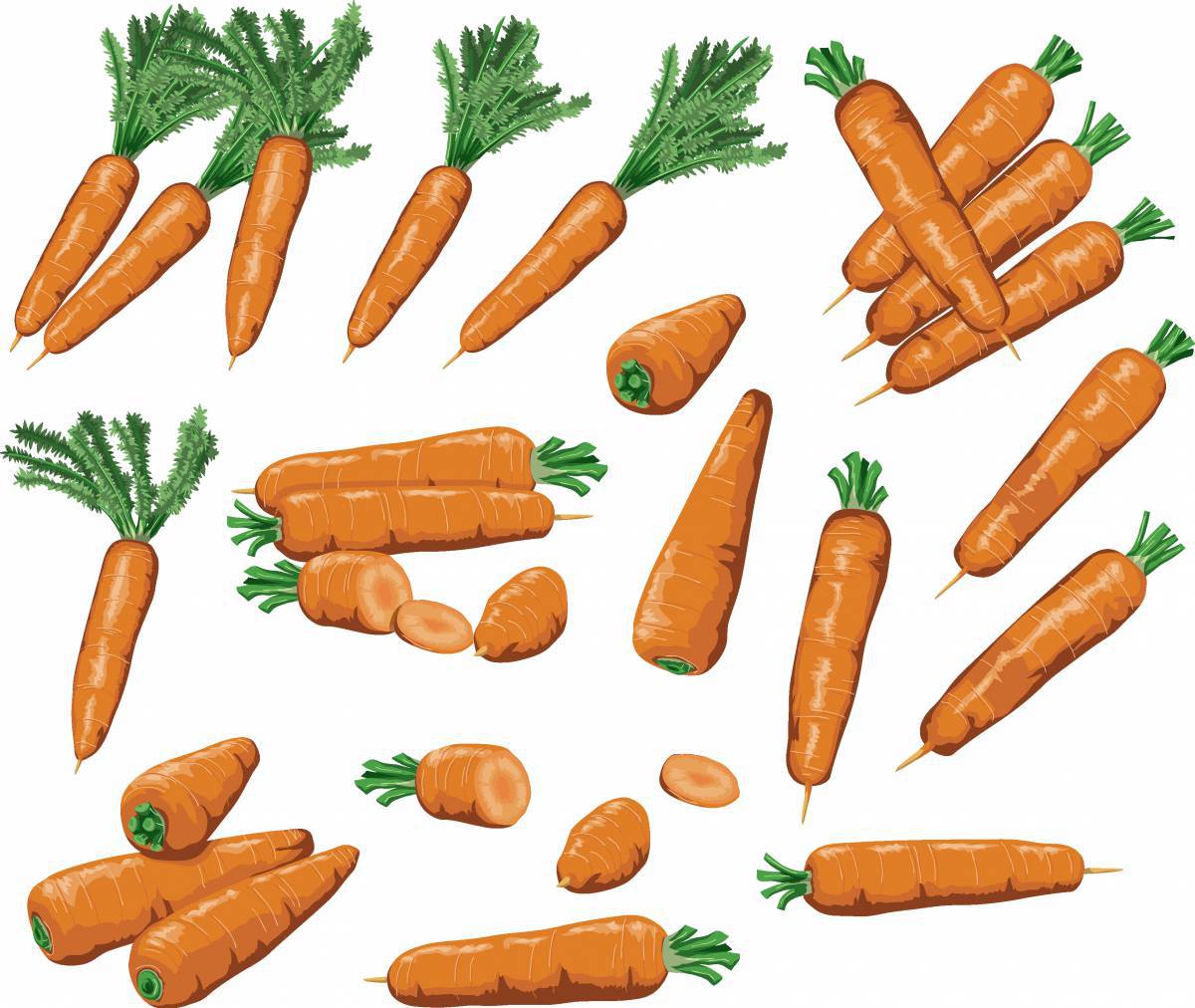 Морковь рисунок для детей #16