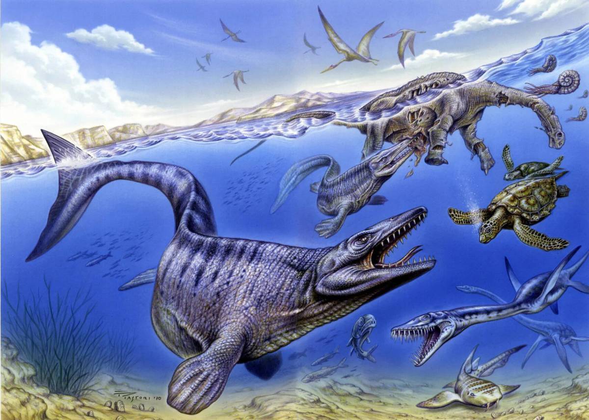Динозавры жили миллионов лет назад