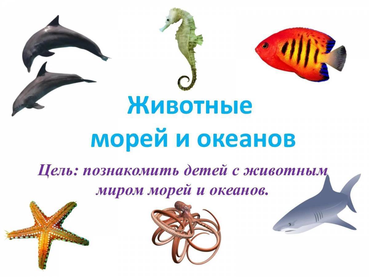 Картинки Морские обитатели морей и океанов для детей (38 шт.) - #5571
