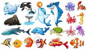 Раскраска морские животные для детей #12 #404387