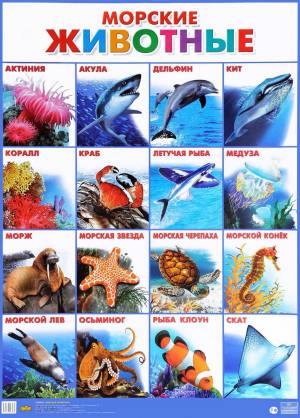Раскраска морские животные для детей #18 #404393