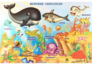 Раскраска морские животные для детей #32 #404407