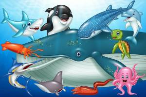 Раскраска морские животные для детей #37 #404412