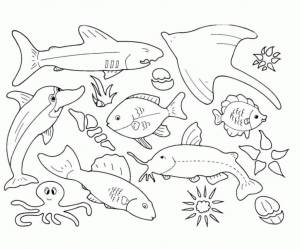 Раскраска морские обитатели для детей 5 6 лет #27 #404557