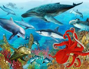 Раскраска морские обитатели морей и океанов для детей #12 #404610