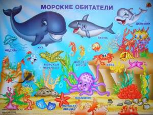 Раскраска морские обитатели морей и океанов для детей #13 #404611