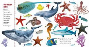 Раскраска морские обитатели морей и океанов для детей #35 #404633