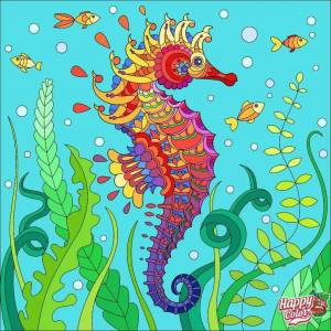 Раскраска морской конек для детей #20 #404807