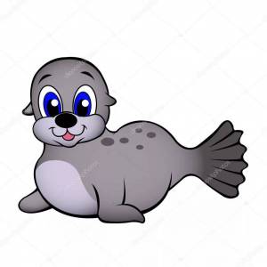 Раскраска морской котик для детей #9 #404833