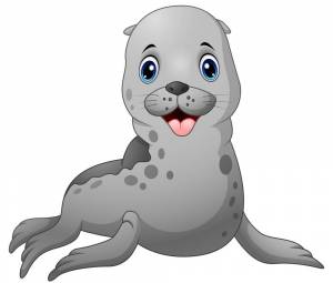 Раскраска морской котик для детей #14 #404838