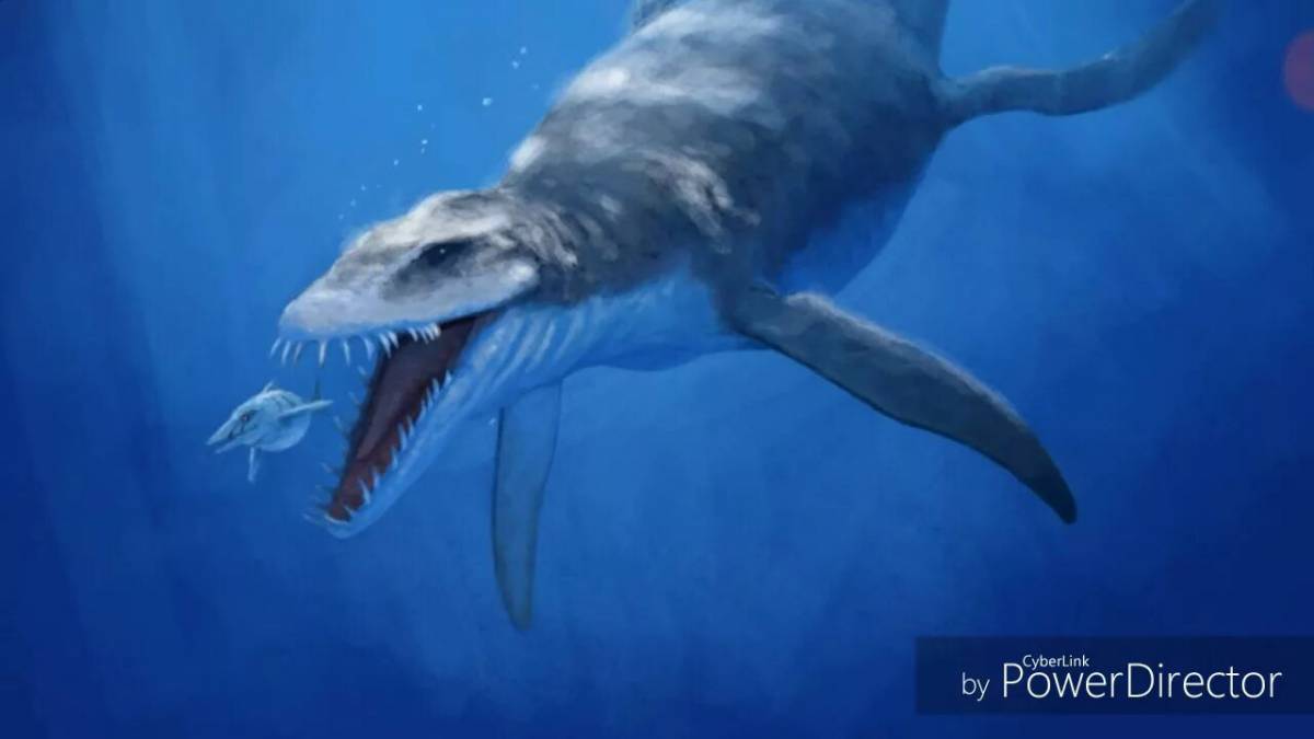 Морские динозавры #30