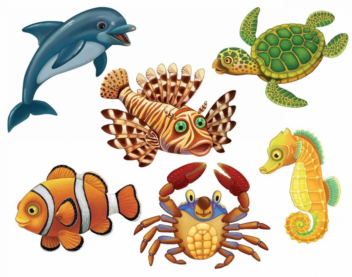 Морские животные для детей #1