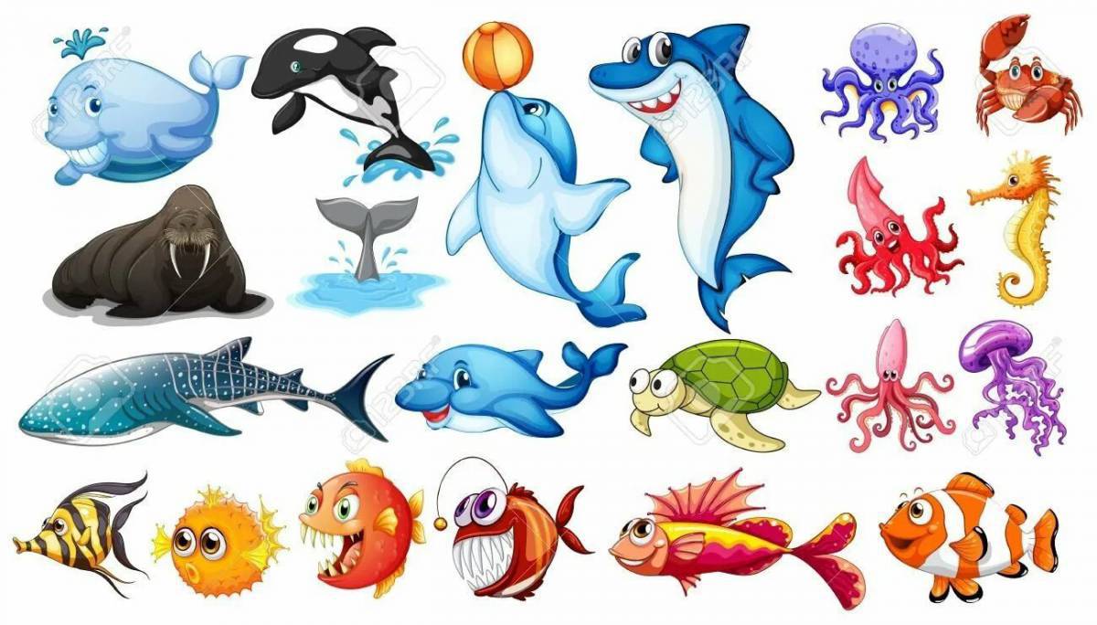Морские животные для детей #12