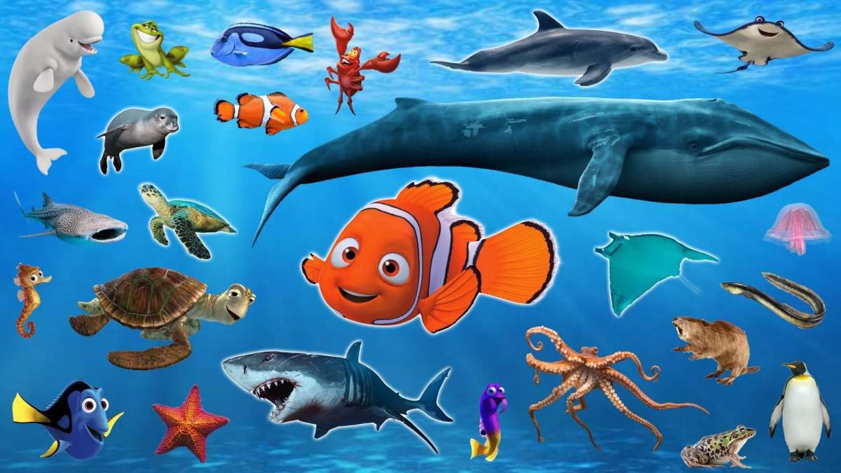 Морские животные для детей #28