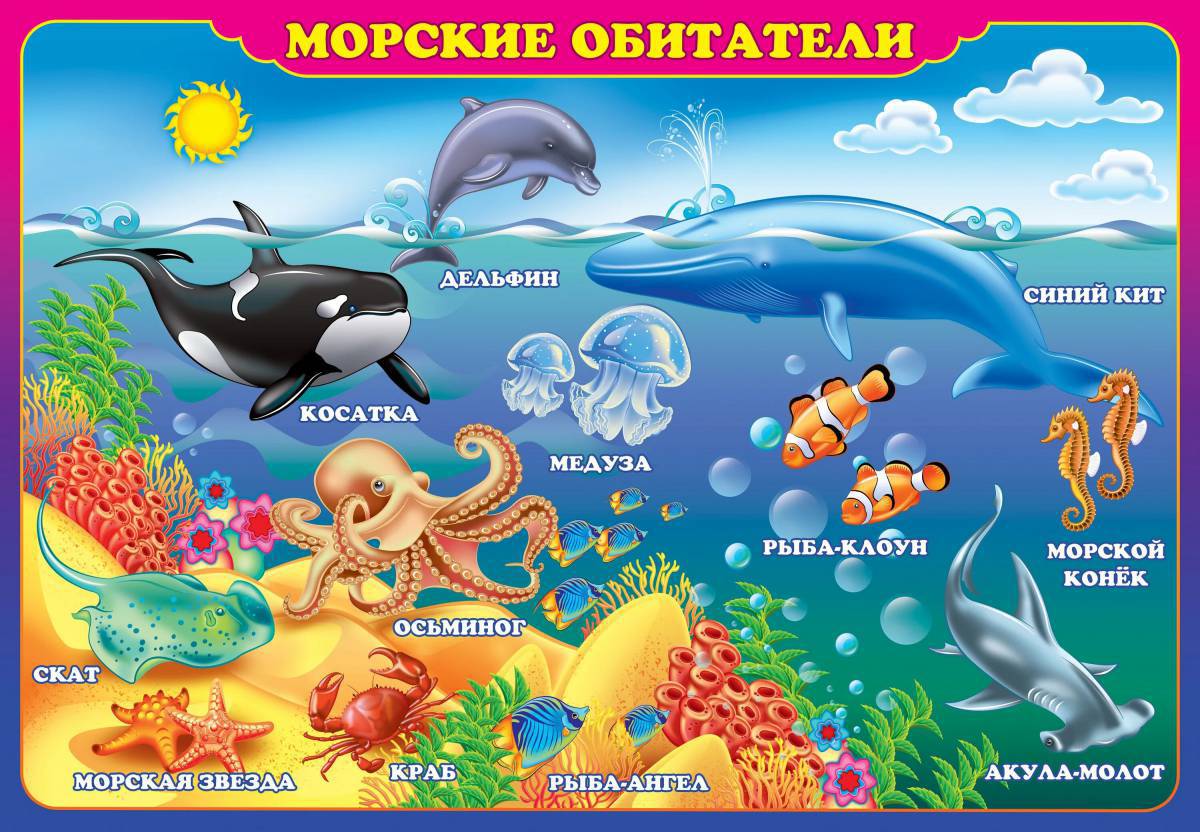 Морские обитатели морей и океанов для детей #1