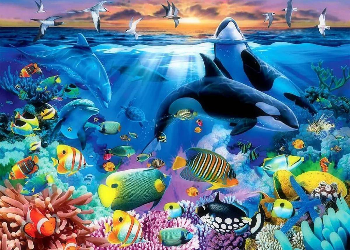 все животные и рыбы моря