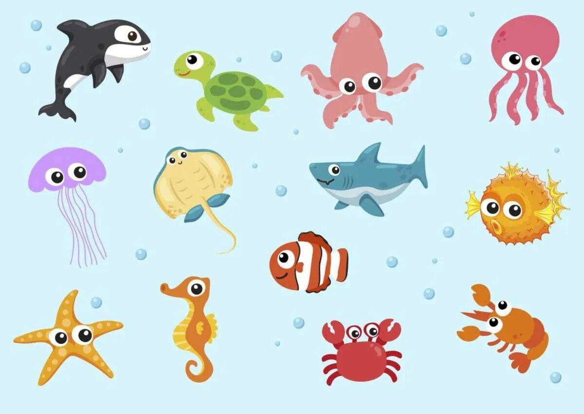 Морские обитатели морей и океанов для детей #8