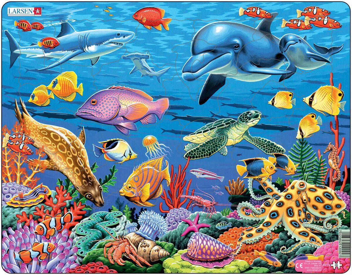 Морские обитатели морей и океанов для детей #24